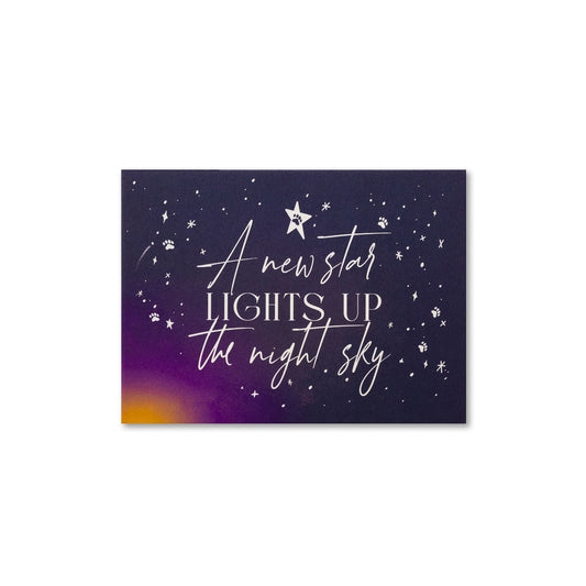 A New Star Pet Sympathy Token Moment