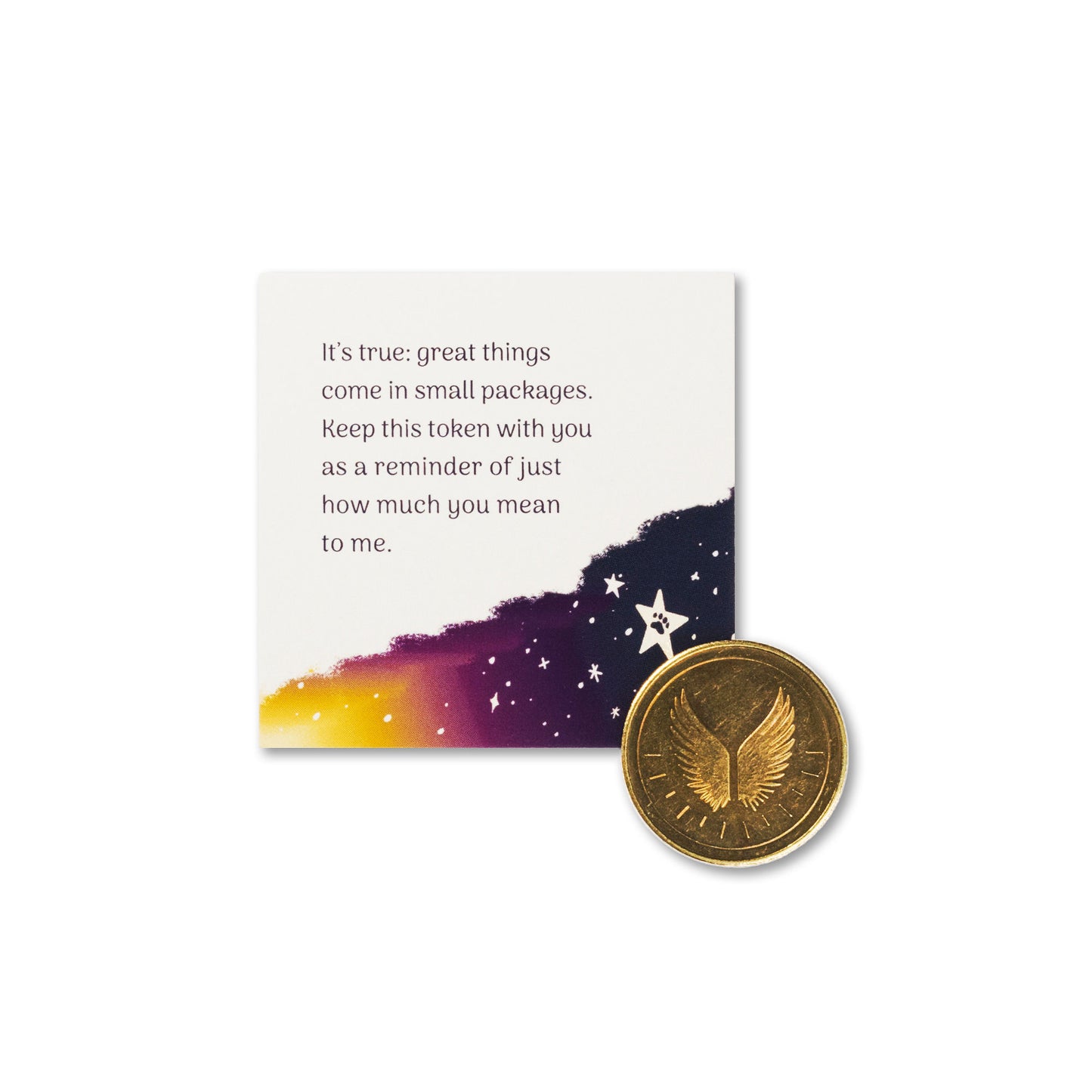 A New Star Pet Sympathy Token Moment